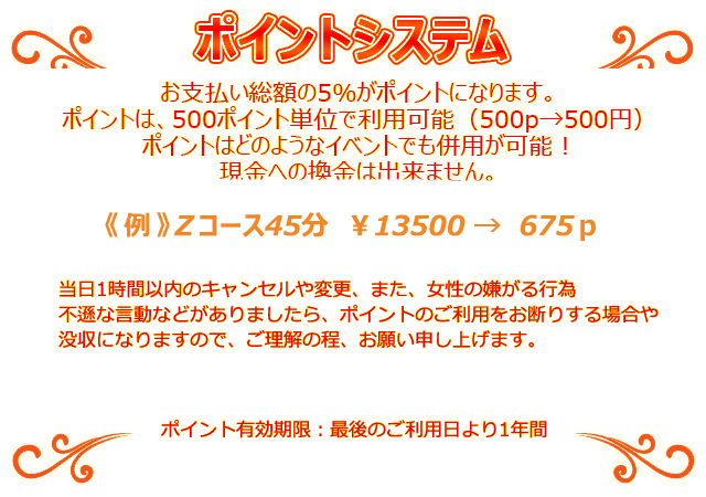 ポイントシステム