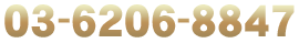 03-6206-8847